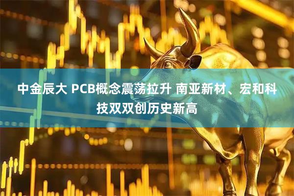 中金辰大 PCB概念震荡拉升 南亚新材、宏和科技双双创历史新高