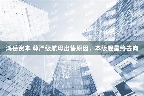 鸿岳资本 尊严级航母出售原因,本级舰最终去向