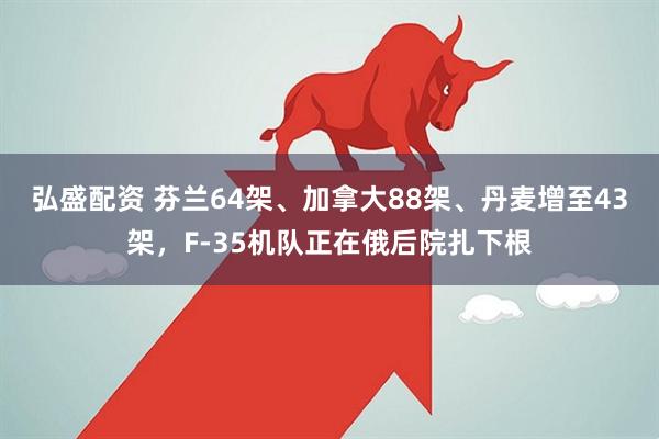 弘盛配资 芬兰64架、加拿大88架、丹麦增至43架,F-35机队正在俄后院扎下根